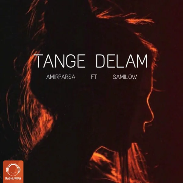 Sami Low & Amirparsa - Tange Delam