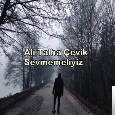 Ali Talha Çevik - Yandım
