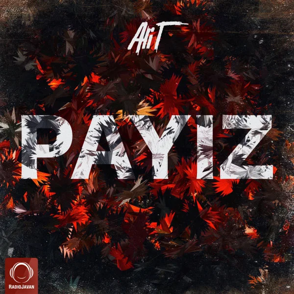Ali T - Payiz