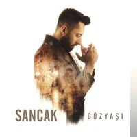 Sancak - Gitme Kal Diyemedim
