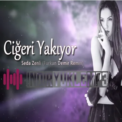 Seda Zenli - Yarım Kalacak