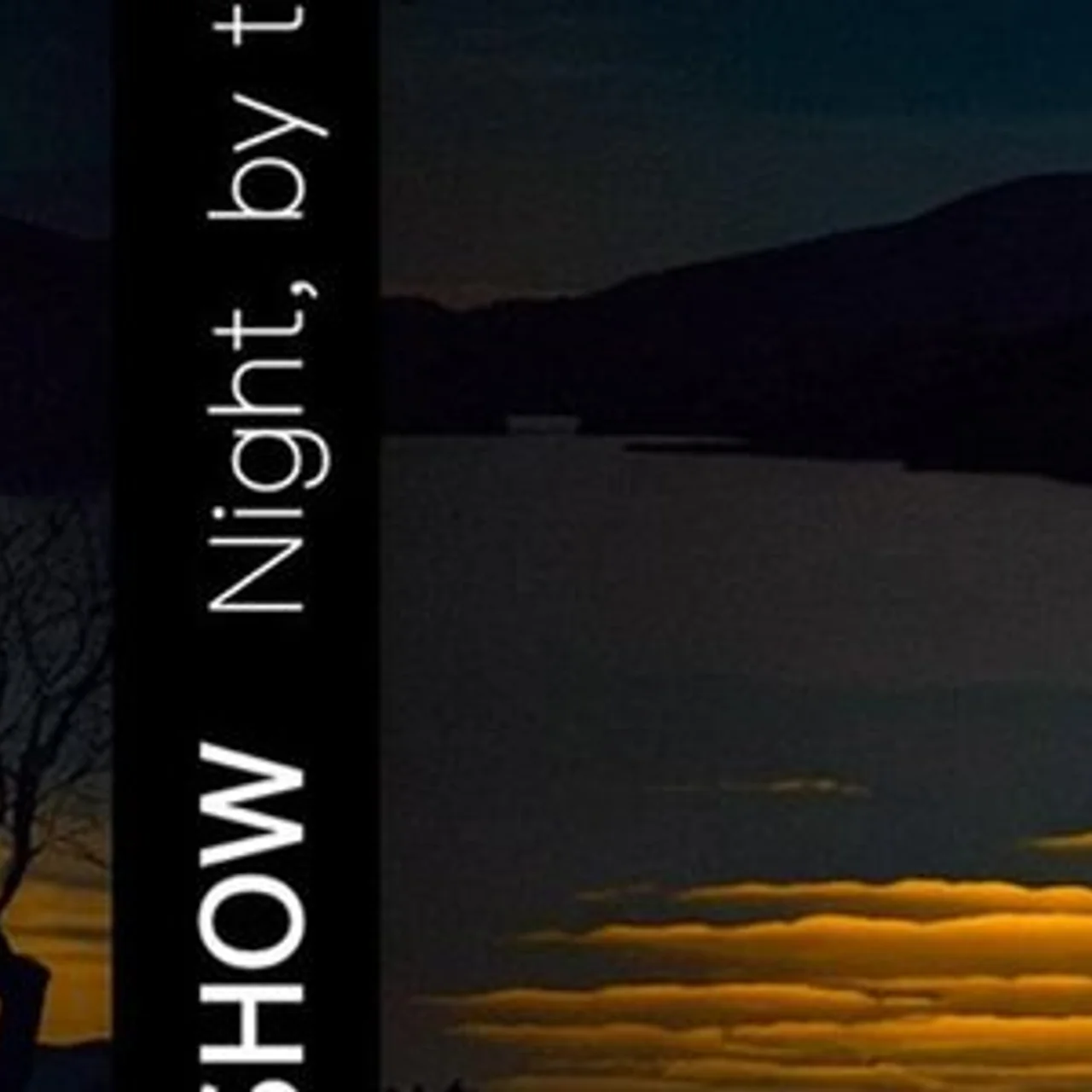 Dang Show - Night by the Spring