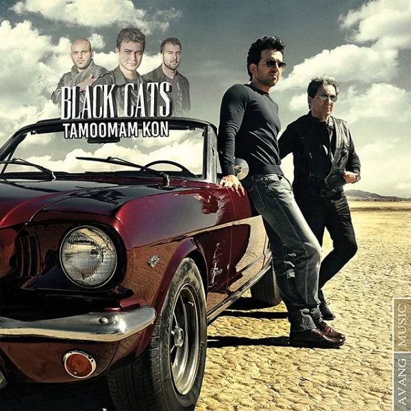 Black Cats - Tamoomam Kon