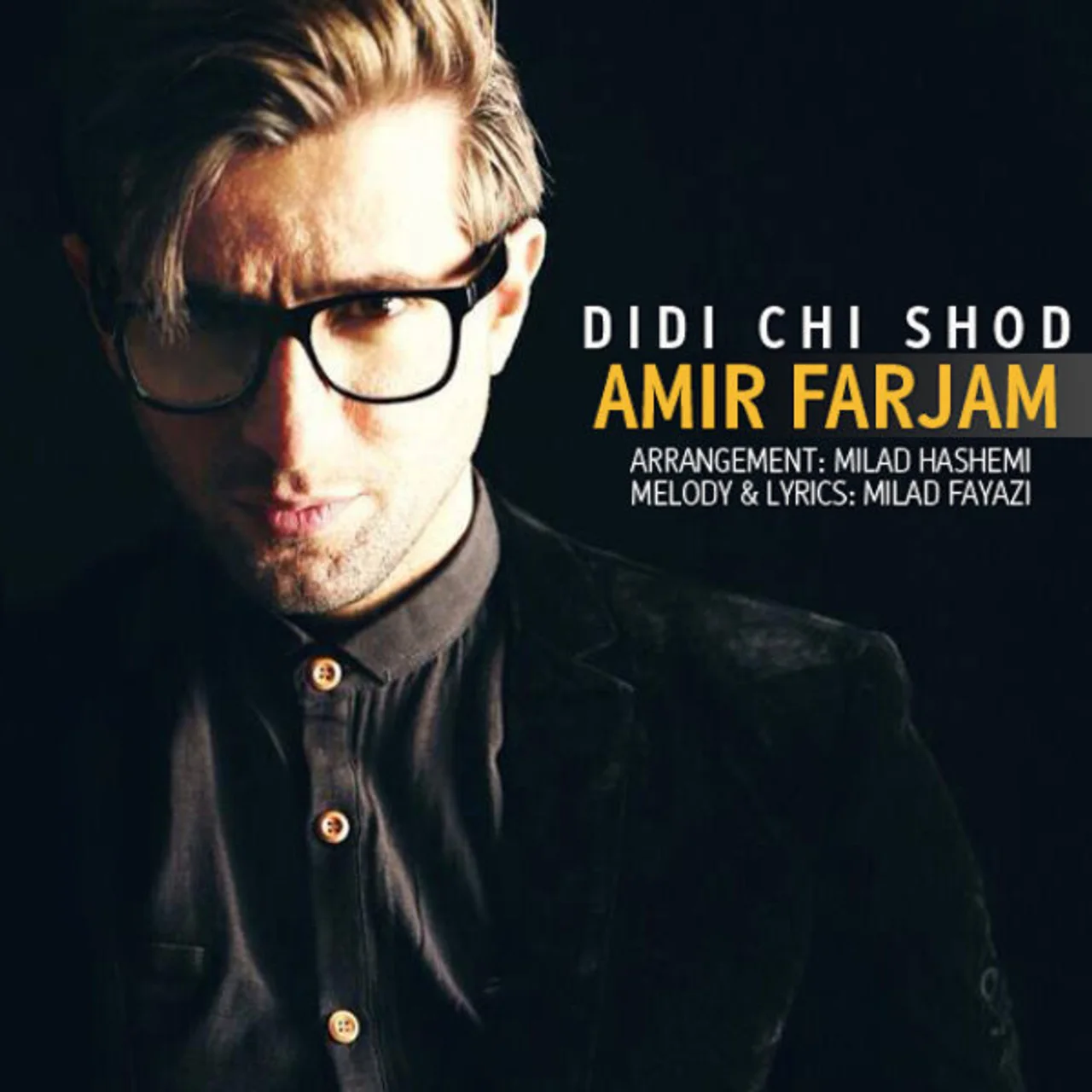 Amir Farjam - Didi Chi Shod