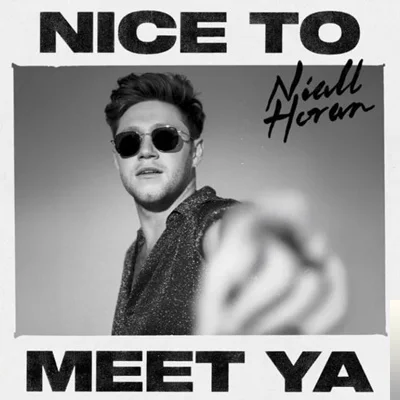 Niall Horan - Paper Houses