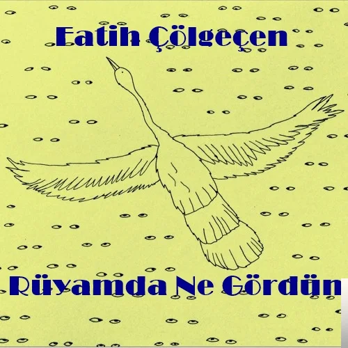 Fatih Çölgeçen - Rüyamda Ne Gördün