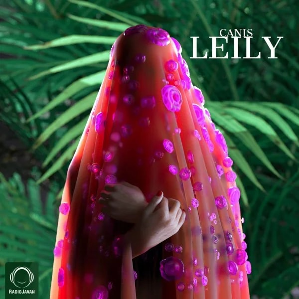 Canis - Leily