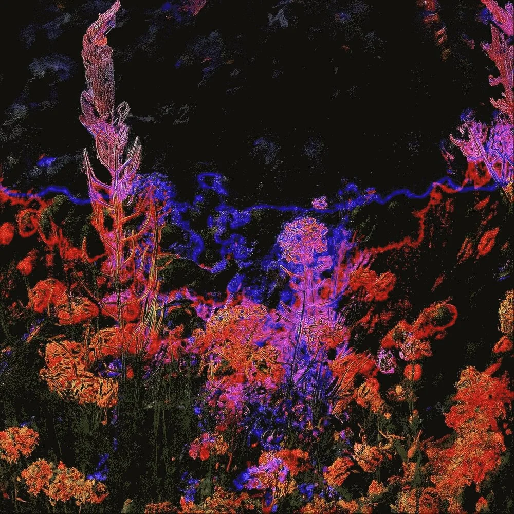 Faarjam - Ta