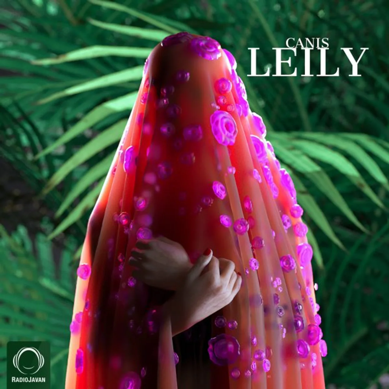 Canis - Leily