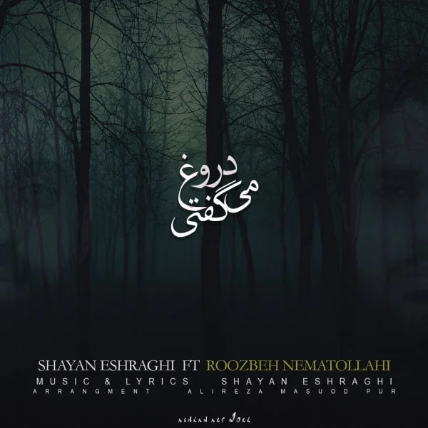 Shayan Eshraghi - Doroogh Migofti (Ft Roozbeh Nematollahi)