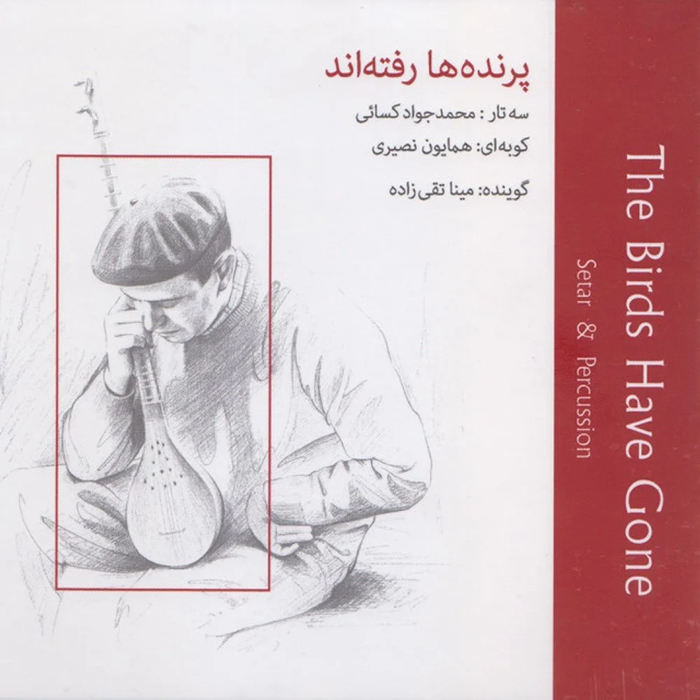 Mohammad Javad Kasaei & Homayoun Nasiri - Watching Sunset Again