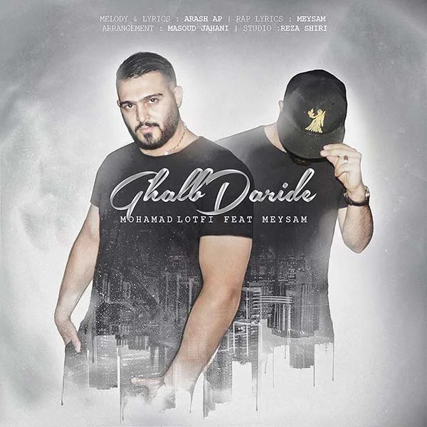 Mohammad Lotfi & Meysam - Ghalb Daride