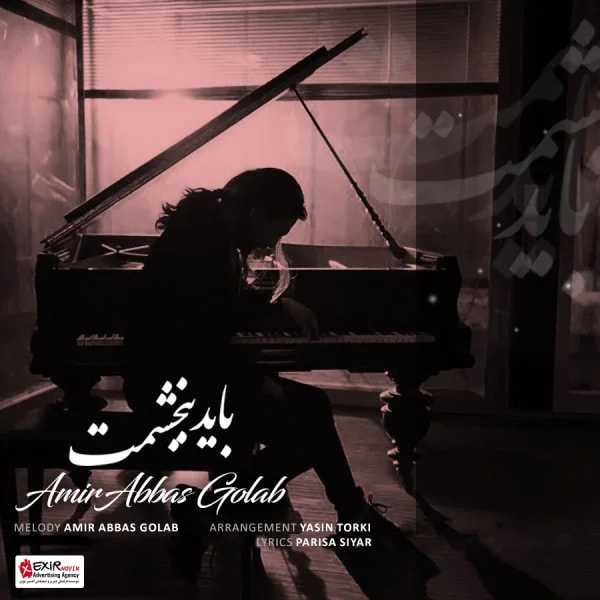 Amirabbas Golab - Bayad Bebakhshamet