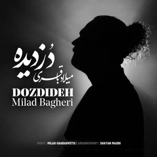 Milad Bagheri - Dozdideh