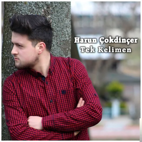 Harun Çokdinçer - Tek Kelimen