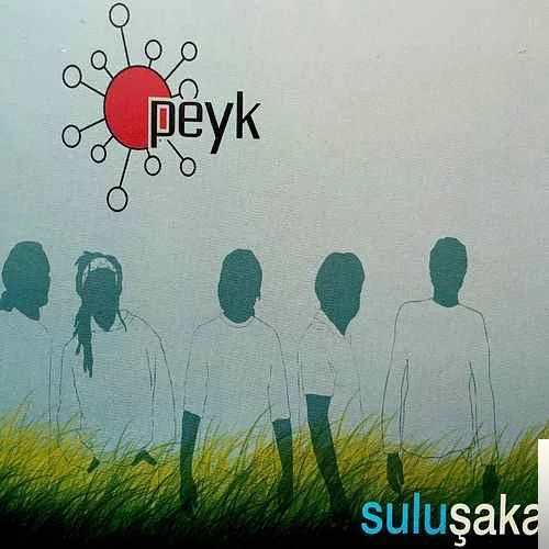 Peyk - Gidin