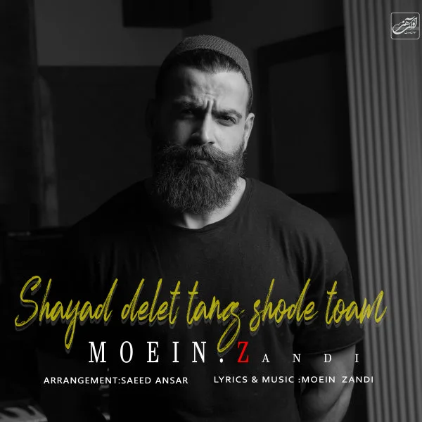 Moein Z - Shayad Delet Tang Shode Toam