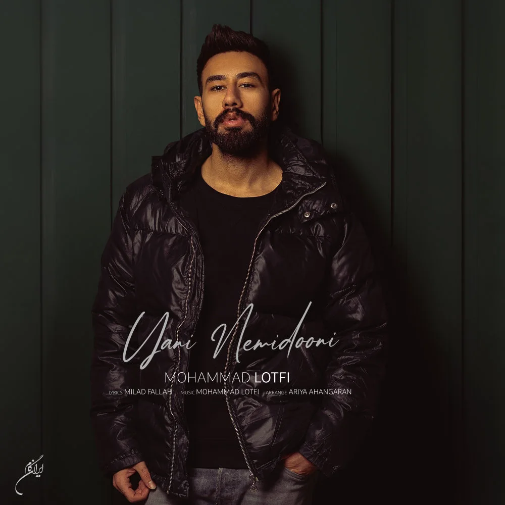 Mohammad Lotfi - Yani Nemidooni