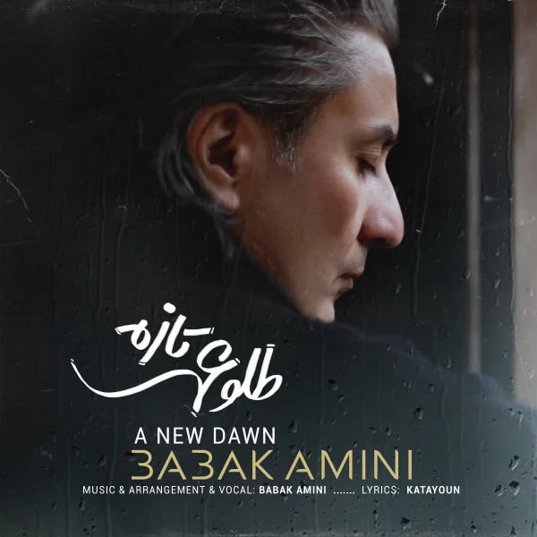 Babak Amini - Tolouei Taze