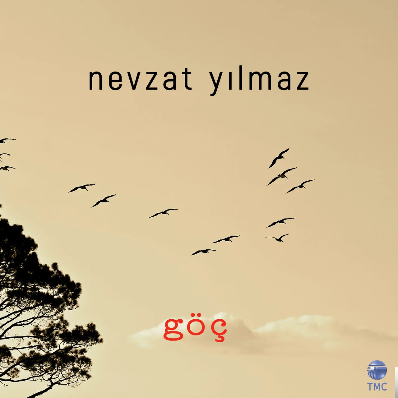 Nevzat Yılmaz - feat Tuba Önal-Yeniden Doğuş
