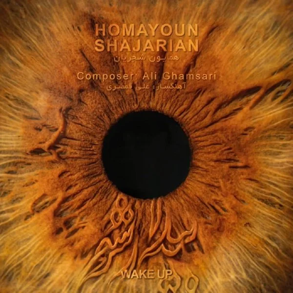 Homayoun Shajarian - Bidar Sho