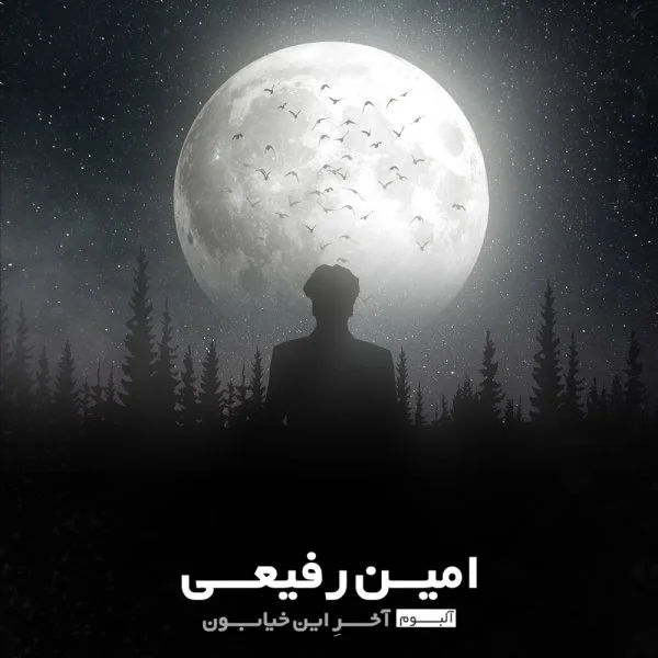 Amin Rafiee - Dasteto Khoondam