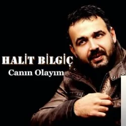 Halit Bilgiç - Yardan Ayrılmış