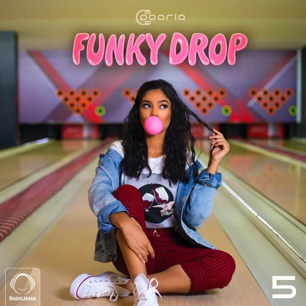DJ Pooria - Funky Drop 5