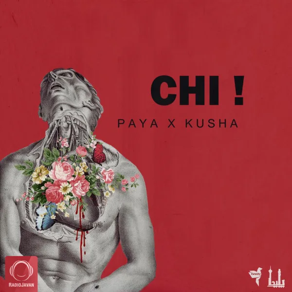 Paya - Chi (Ft Kusha)