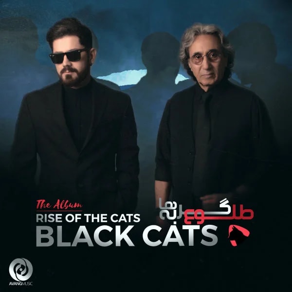Black Cats - Bonbast