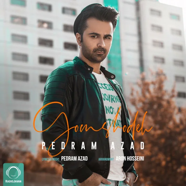 Pedram Azad - Gomshodeh