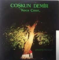 Coşkun Demir - Miras
