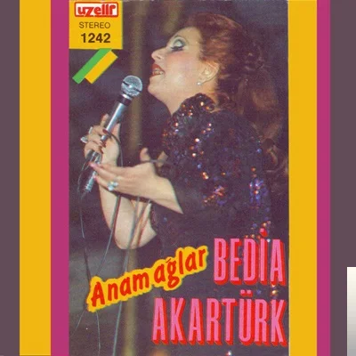 Bedia Akartürk - Nedendir