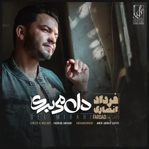 Fardad Ansari - Del Mibari
