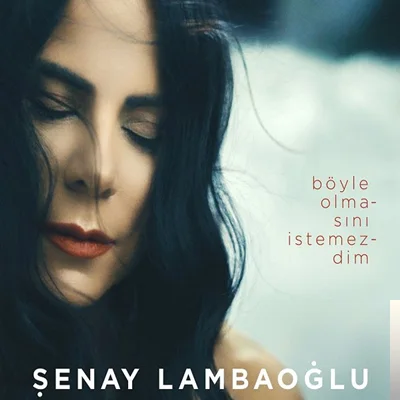 Şenay Lambaoğlu - Böyle Olmasını İstemezdim