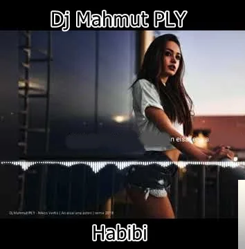 Dj Mahmut PLY - Habibi