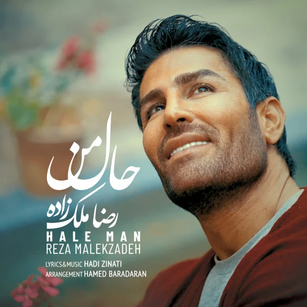 Reza Malekzadeh - Hale Man