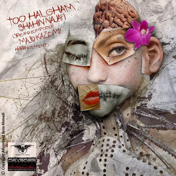 Shahin Najafi - Too Halgham