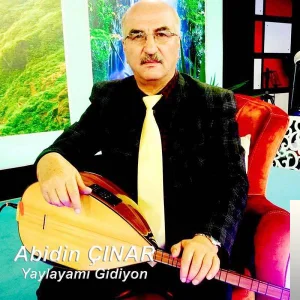 Abidin Çınar - Şöyle Gönlümü Yokladım