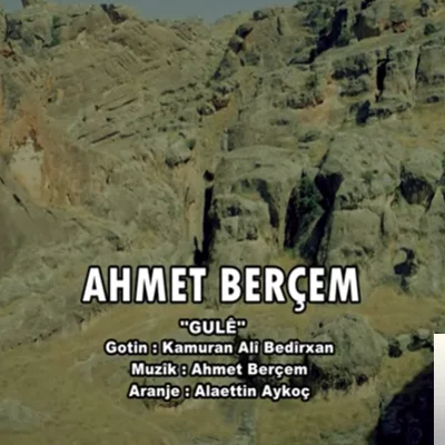 Ahmet Berçem - Gule