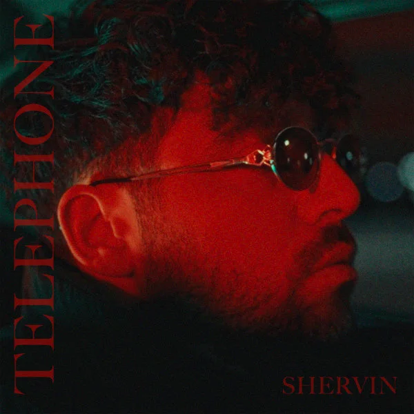 Shervin Hajipour - Telephone