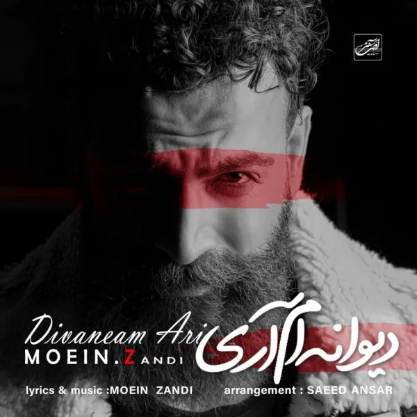 Moein Z - Divaneam Ari
