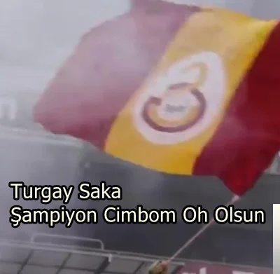Turgay Saka - feat Fulin-Panik Yok