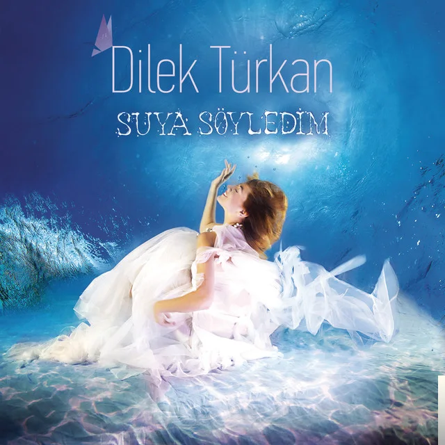 Dilek Türkan - Sormamışsın Hiç Kimseden