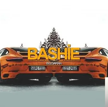 Bashie - İhtiyacı Var