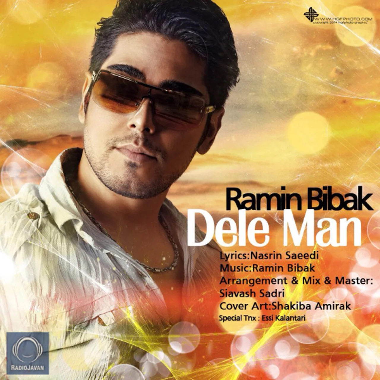 Ramin Bibak - Dele Man