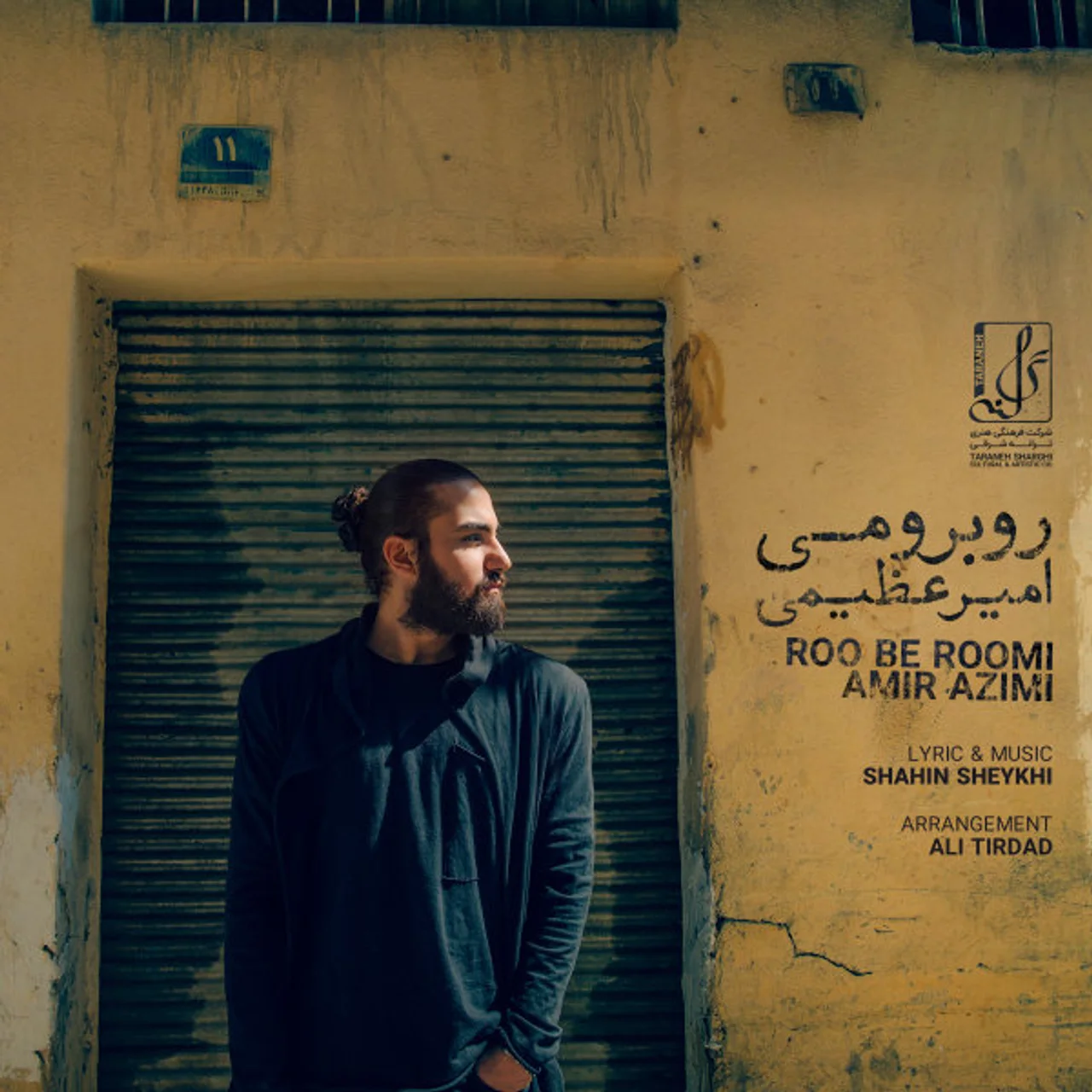 Amir Azimi - Roo Be Roomi