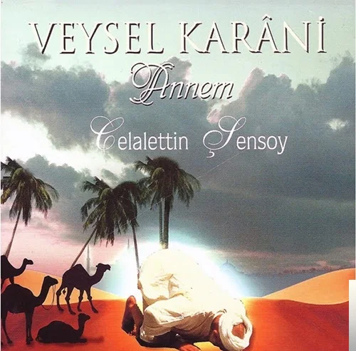 Celalettin Şensoy - Ey Yolcular