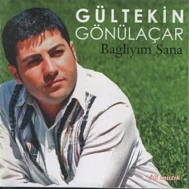 Gültekin Gönülaçar - Dönelim Dostum