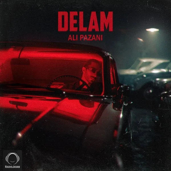 Ali Pazani - Delam